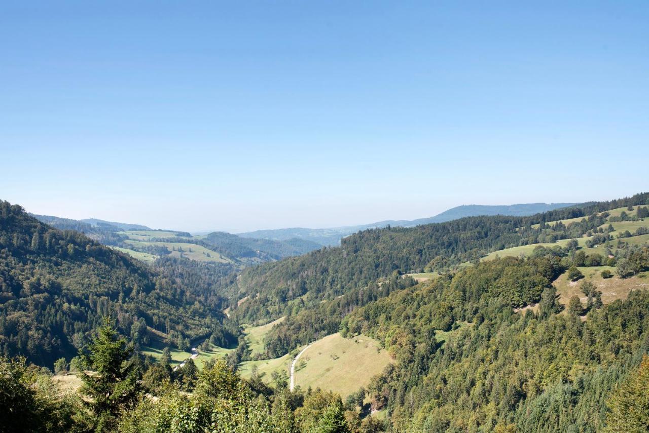 Ferienwohnung Schwarzwaldperle Todtmoos Exterior foto